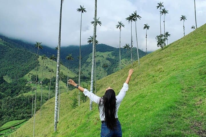 Cocora Valley & Santa Rita Waterfall: Full-Day Jeep and Horseback Tour from Salento photo 5