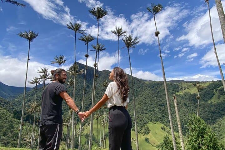 Cocora Valley & Santa Rita Waterfall: Full-Day Jeep and Horseback Tour from Salento