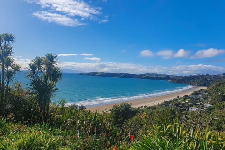 Waiheke Island Half-Day Scenic Wine Tour and Lunch — Mudbrick, Stonyridge & Onetangi photo 3