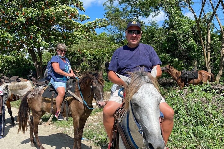 Beach Horseback Ride from Amber Cove: Private Taino Bay Trail photo 3