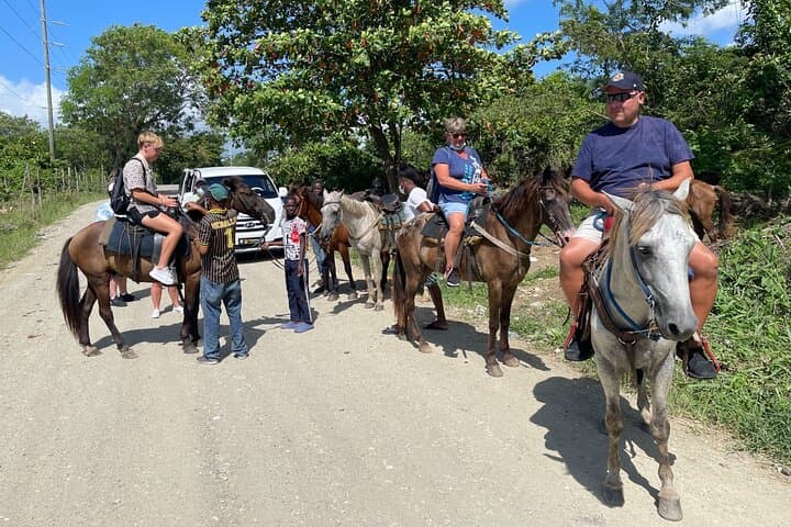 Beach Horseback Ride from Amber Cove: Private Taino Bay Trail photo 5