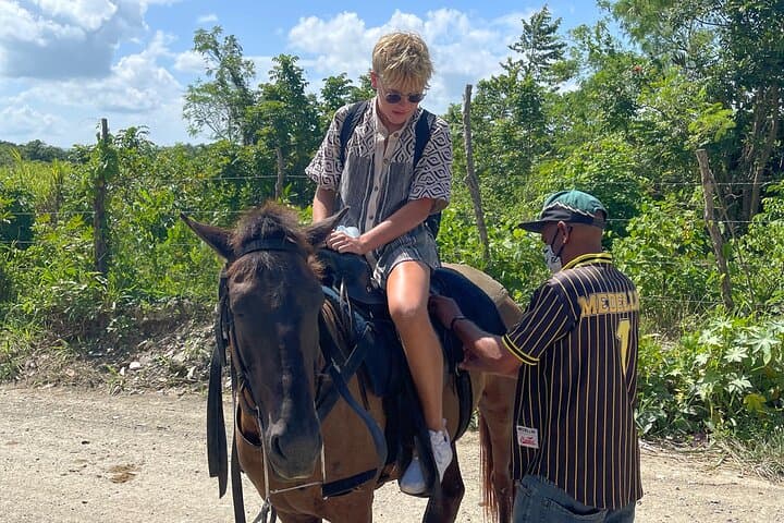 Beach Horseback Ride from Amber Cove: Private Taino Bay Trail photo 6