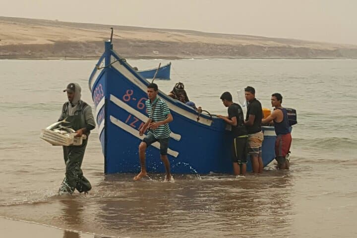 Mini Sahara 4x4 Day Trip from Agadir: Dunes, Massa Birds & Berber Lunch photo 3