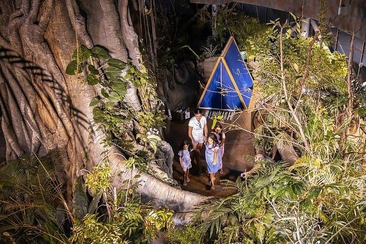 Inside Dubai's Green Planet: Explore the Tropical Bio‑Dome photo 2