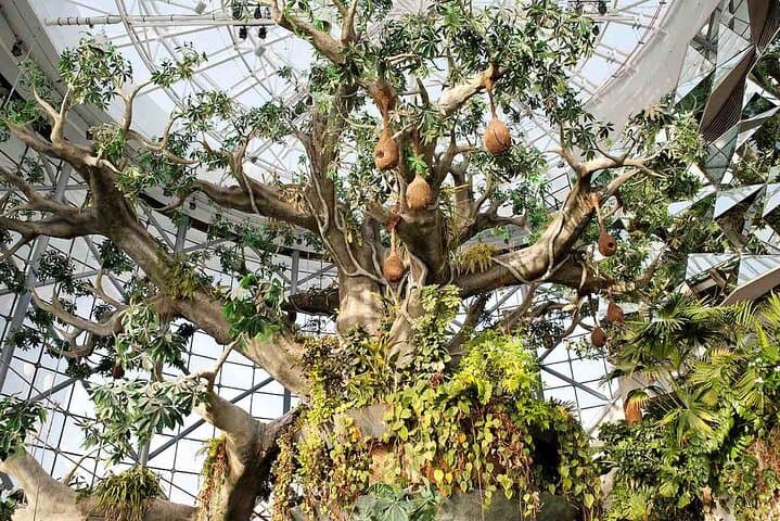 Inside Dubai's Green Planet: Explore the Tropical Bio‑Dome