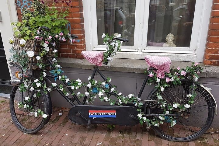 Half-Day Waterland Bike Tour from Amsterdam — Windmills, Dikes & Dutch Countryside
