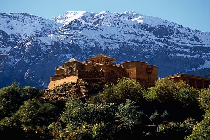 Day Trip to the Middle Atlas: Azrou Cedars & Barbary Apes from Fes photo 3
