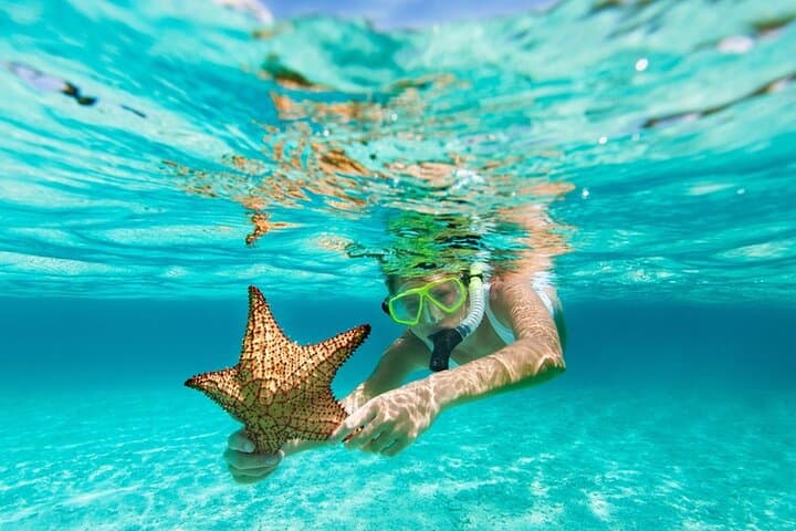 La Jolla All-Day Snorkel Package: Cove Wetsuit Rental & Locker Access