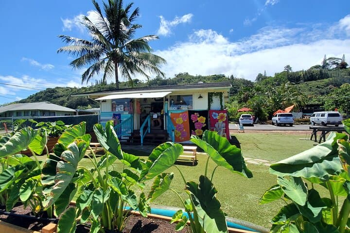Waikiki to Haleiwa Shuttle: North Shore Day Trip from Waikiki photo 5