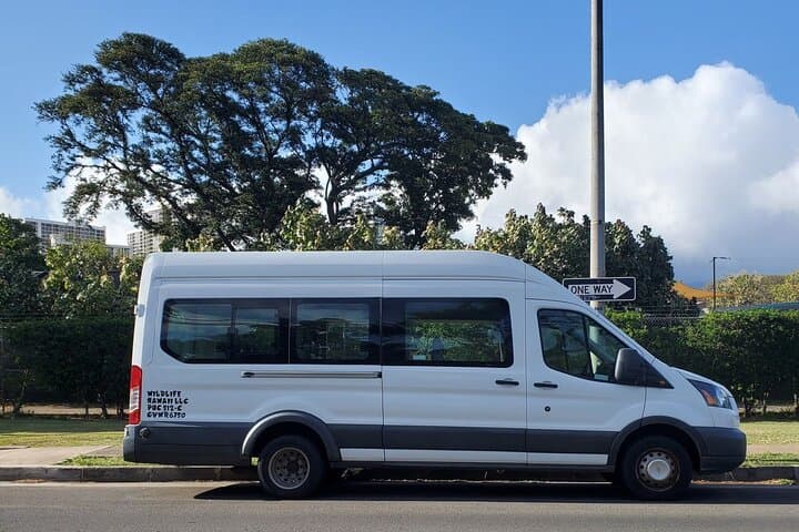 Waikiki to Haleiwa Shuttle: North Shore Day Trip from Waikiki photo 2