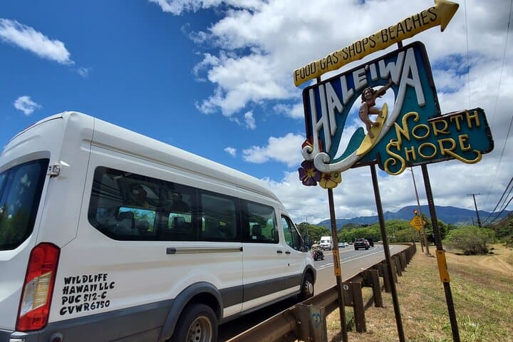 Waikiki to Haleiwa Shuttle: North Shore Day Trip from Waikiki