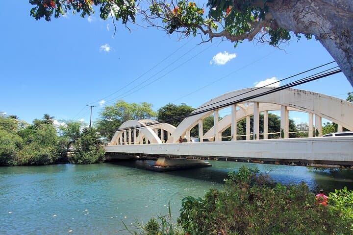 Waikiki to Haleiwa Shuttle: North Shore Day Trip from Waikiki photo 3