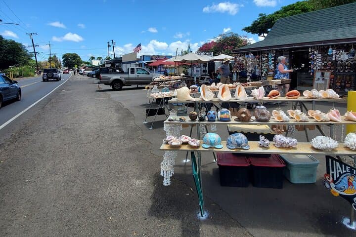 Waikiki to Haleiwa Shuttle: North Shore Day Trip from Waikiki photo 4