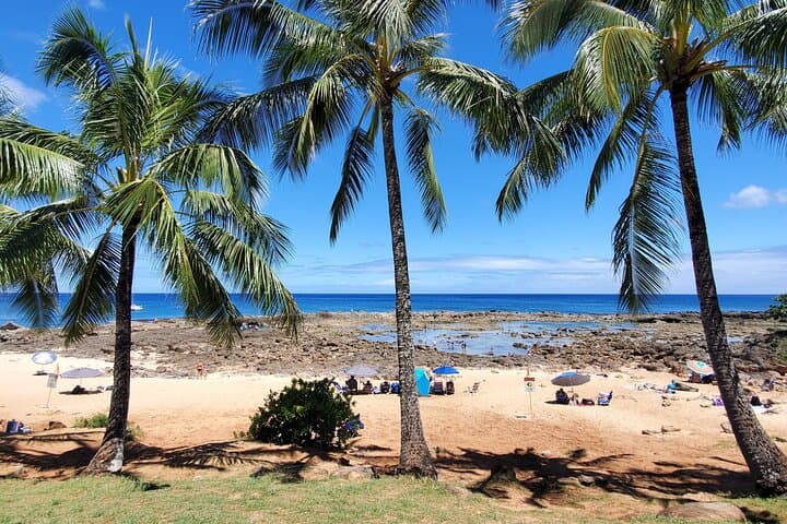 Waikiki to Haleiwa Shuttle: North Shore Day Trip from Waikiki photo 6