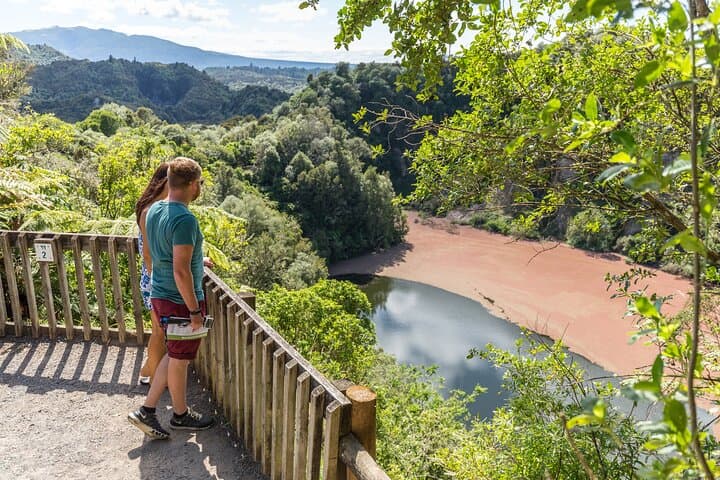 Waimangu Geothermal Valley & Lake Rotomahana Tour — Guided Walk and Rotomahana Cruise photo 3