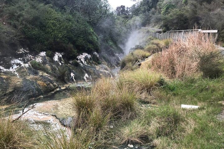 Waimangu Geothermal Valley & Lake Rotomahana Tour — Guided Walk and Rotomahana Cruise photo 4