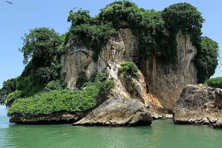 Los Haitises Moist-Forest Hike from Sabana de la Mar — 4-Hour Private Boat & Trail photo 3