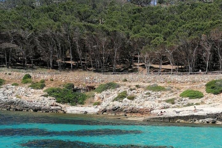 Dinghy Excursion to the Egadi Islands: Snorkel Coves and Sicilian Tasting photo 2
