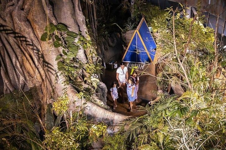 Inside Dubai’s Green Planet: Tropical Bio-Dome Experience with Private Transfers photo 2