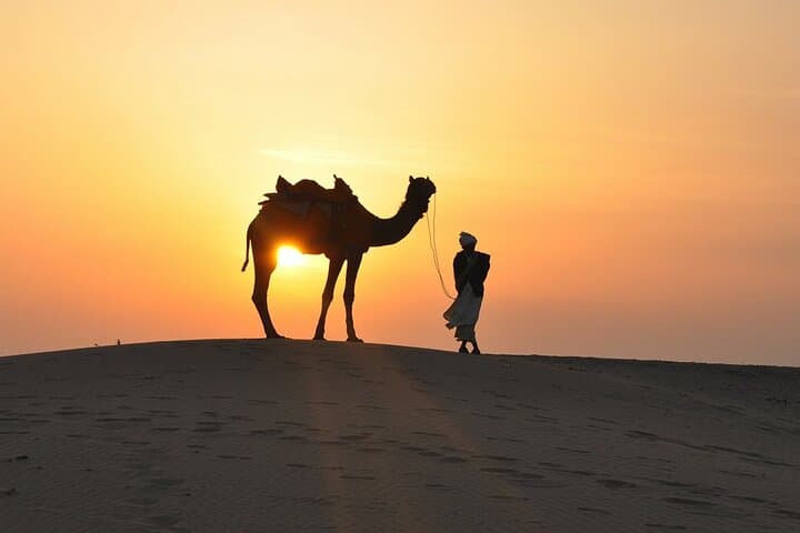 Deluxe Dubai Desert Safari with BBQ Dinner — Evening Dune Bashing & Cultural Camp photo 6