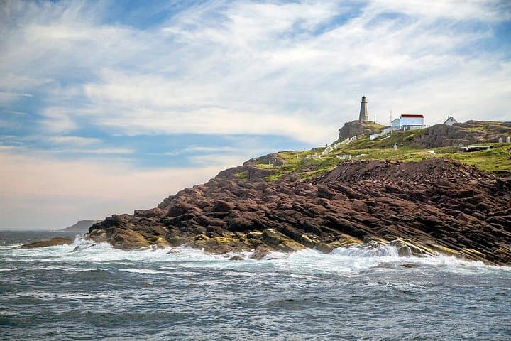 St. John's Iceberg & Whale Watch: 2-Hour Award-Winning Boat Tour photo 5