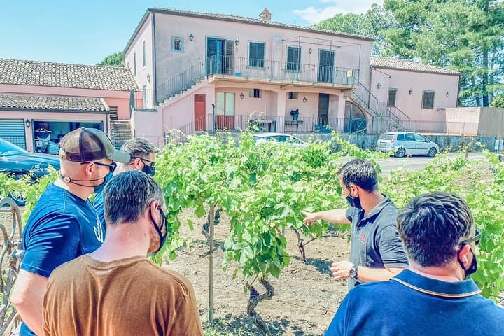 White Lotus Sicily: Etna Wine Tasting & Volcano Walk (Private Tour) photo 6