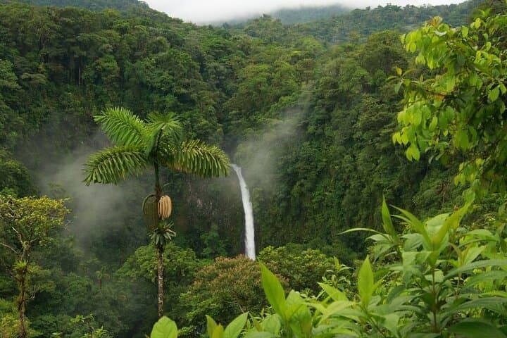 Arenal Hanging Bridges & La Fortuna Waterfall: Full-Day Hike with Lunch photo 4
