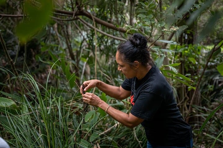 Cape Byron Aboriginal Guided Walk: Bundjalung Stories, Bush Tucker & Coastal Views photo 5