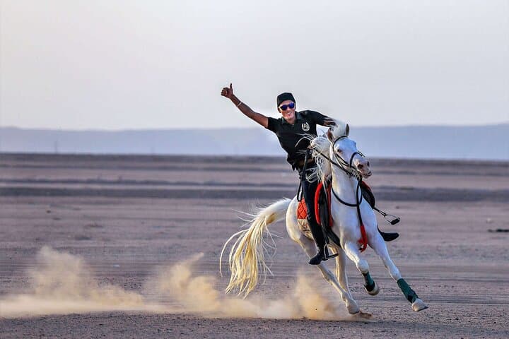 Hurghada Sunrise Horse & Camel Ride — 2-Hour Beach or Desert Experience photo 4