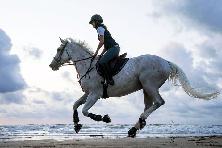 Hurghada Sunrise Horse & Camel Ride — 2-Hour Beach or Desert Experience photo 5