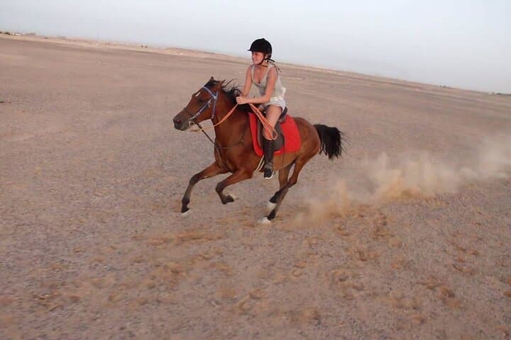 Hurghada Sunrise Horse & Camel Ride — 2-Hour Beach or Desert Experience photo 6