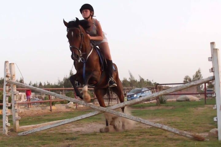 Hurghada Sunrise Horse & Camel Ride — 2-Hour Beach or Desert Experience photo 2