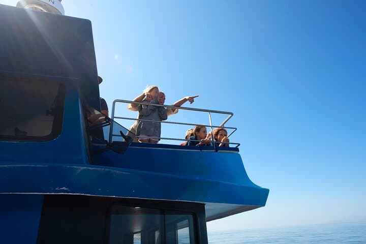 Half-Day Dolphin Watching Cruise from Lagos — Ponta da Piedade & Sea Caves photo 6