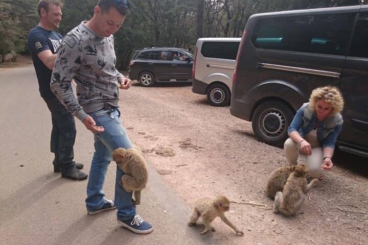 Middle Atlas Day Trip from Fes: Cedar Forests, Berber Villages & Ifrane photo 6