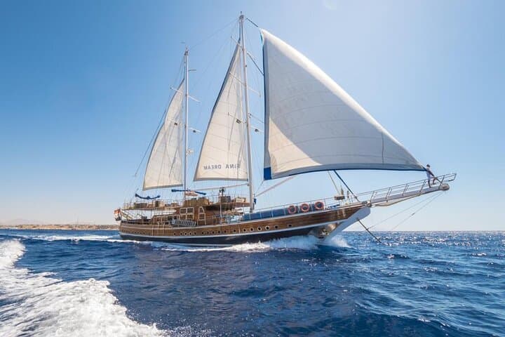 Luxury Yacht Snorkel to Ras Mohamed & White Island from Sharm El Sheikh photo 5