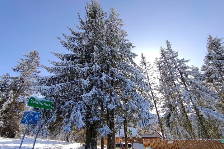 Zakopane Day Trip from Krakow: Gubalowka, Oscypek & Chocholowskie Thermal Baths