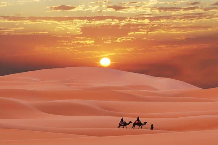 Morning Red Dunes Quad Safari in Dubai: Camel Ride & Sandboarding photo 3