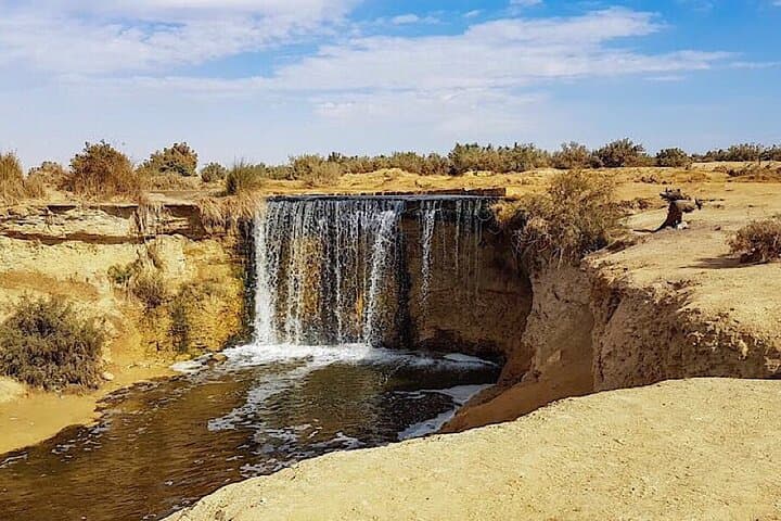 Exploring El Fayoum Oasis: Wadi El Hitan, Lake Qarun & Medinet Madi Day Tour photo 2