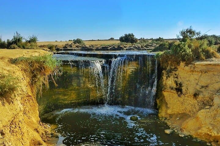 Exploring El Fayoum Oasis: Wadi El Hitan, Lake Qarun & Medinet Madi Day Tour photo 3