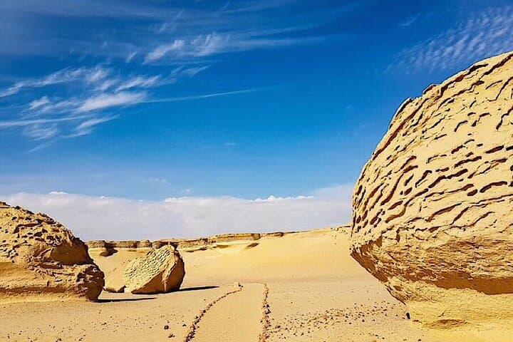 Exploring El Fayoum Oasis: Wadi El Hitan, Lake Qarun & Medinet Madi Day Tour photo 4