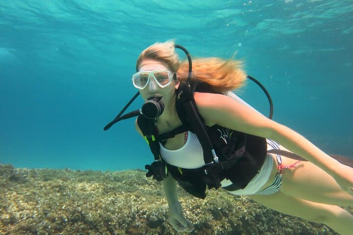 Introductory Scuba Dive in Mallorca's Marine Nature Reserve photo 2