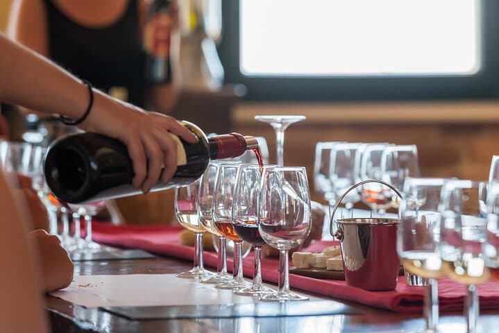Lemnos Private Wine Tour: Organic Wineries, Vineyard Walks & Island Tastings