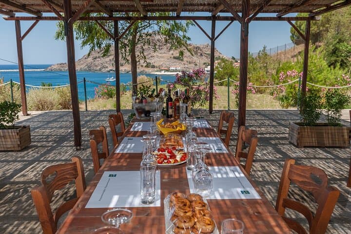 Lemnos Private Wine Tour: Organic Wineries, Vineyard Walks & Island Tastings photo 2