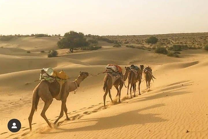 Jaisalmer Camel Safari: Overnight Thar Desert Ride, Villages & Star Camp photo 3
