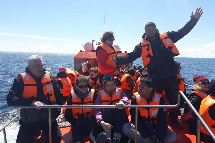 Walk with Thousands of Magellanic Penguins on Isla Magdalena and Sail Around Isla Marta photo 3