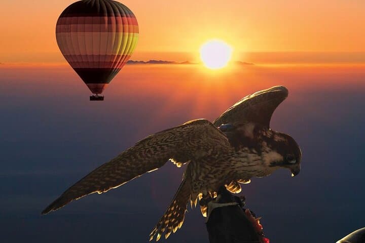 Sunrise Desert Hot Air Balloon Ride in Dubai — Falcon Show & Arabian Breakfast
