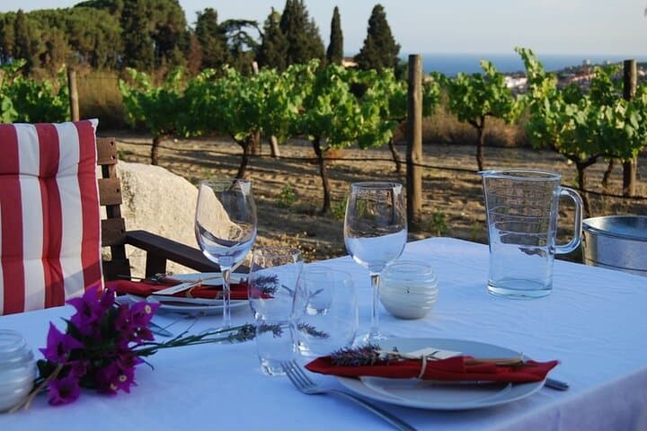 Alella Organic Wine Tasting & Picnic Tour from Barcelona photo 6