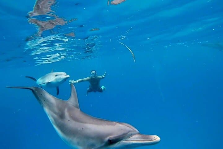 Custom Bimini Charter: Private Yacht, Snorkeling & Beach Dining with Photographer