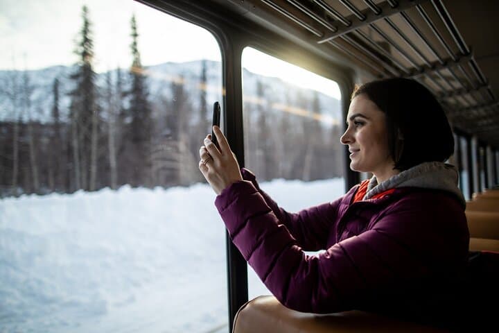 Alaska Railroad Aurora Winter Train: Winter Journey from Fairbanks to Anchorage photo 3