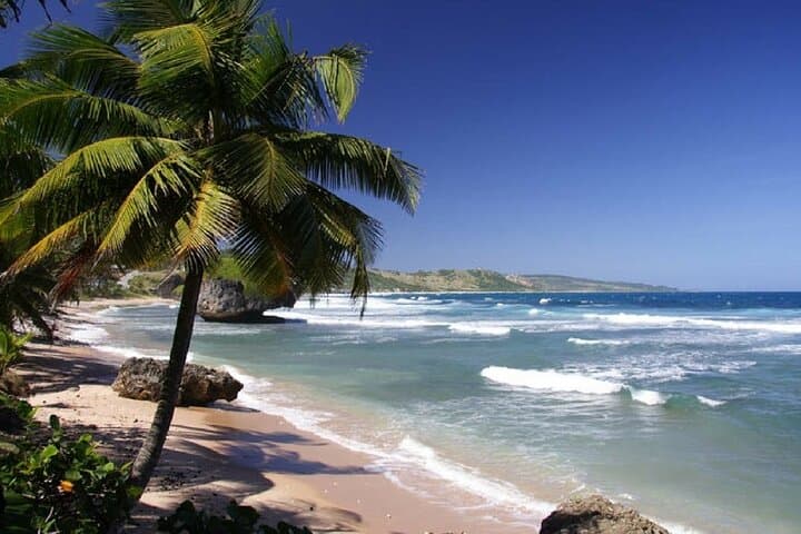 San Jose Airport to Manuel Antonio Private Shuttle — Door-to-Beach Transfer photo 2